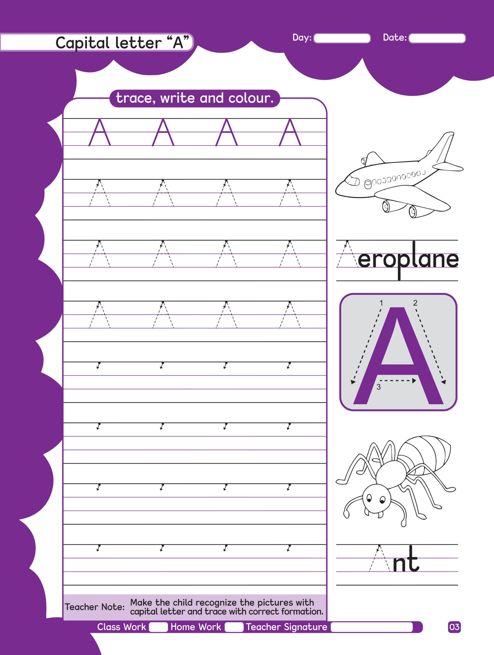 English Copy Step 2 (ELITE Series) - Image 5