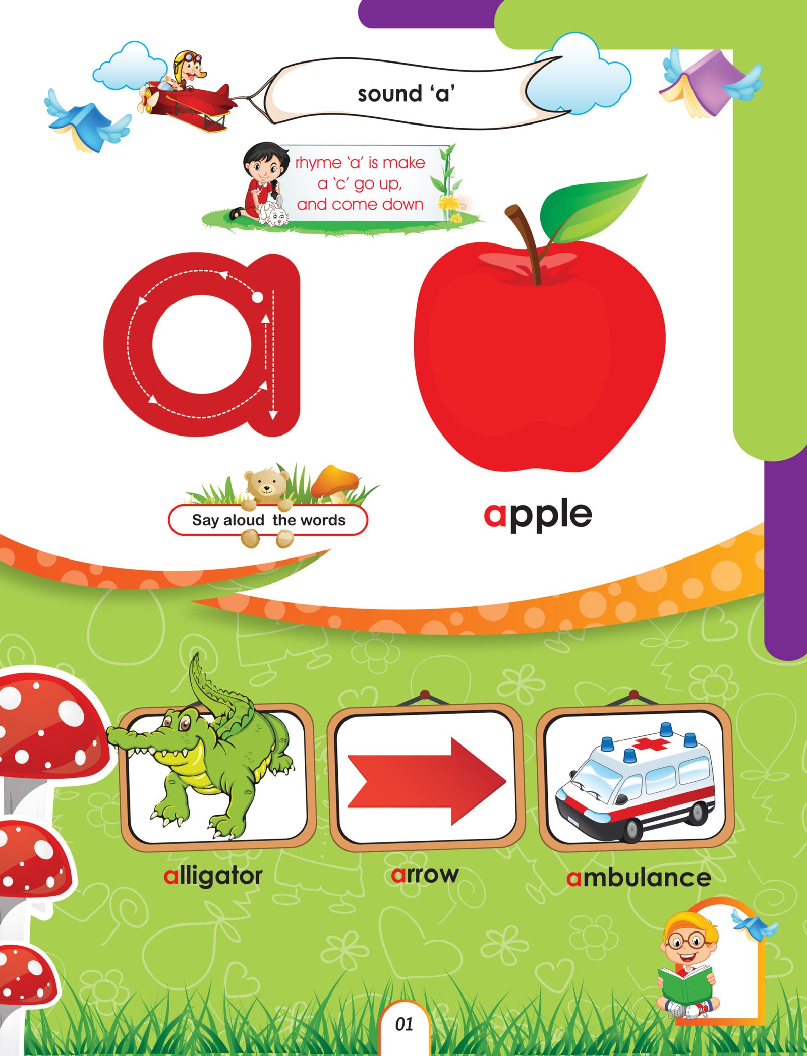Play Group Set (ELITE Series) - Image 14