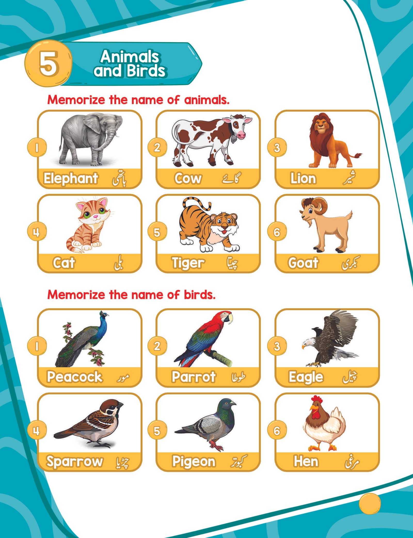 All in One (C) - Image 4